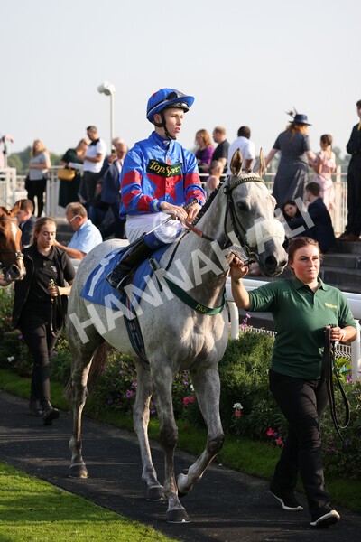 yr05092021r7-11 - Race 7 5.10pm Yorkshire Regiment Stakes