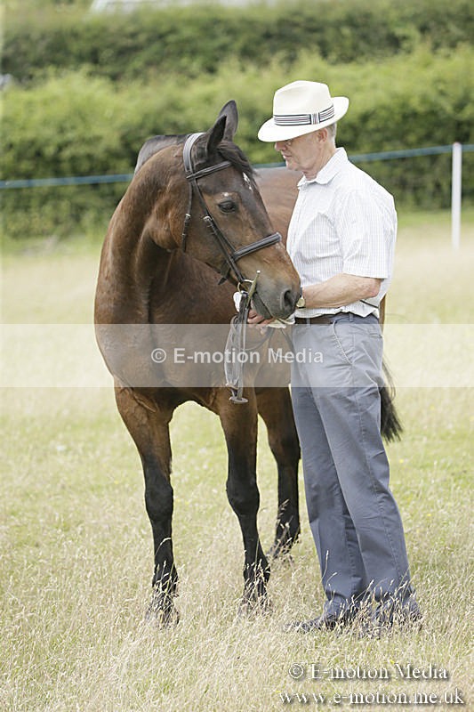 B230619-0567 - Bourne Valley Riding Club Summer Show 23/06/19