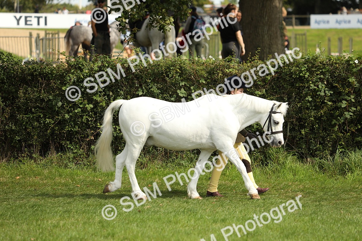 SBM_67685 - S39 - Junior Handler 8  Years & Under