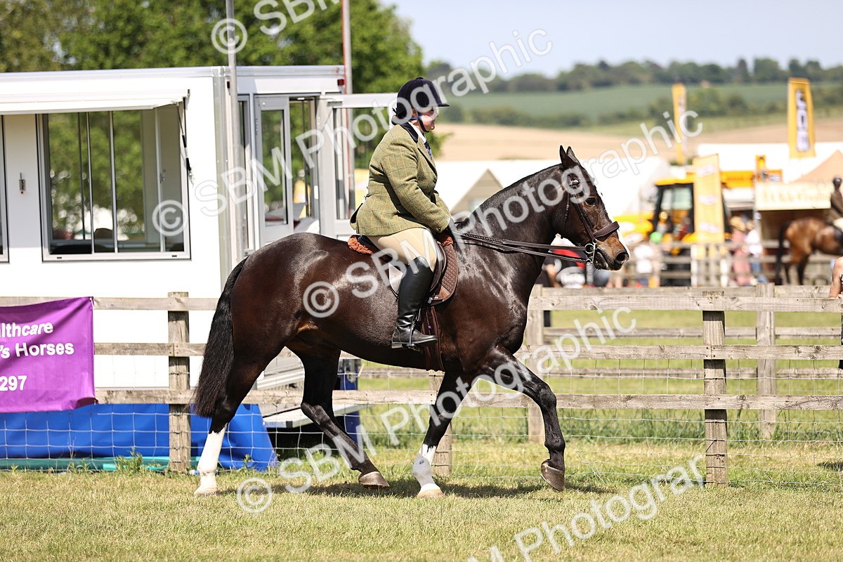 SBM_17824 - Class 81-83 - TSR Ridden Amateur of the Year - Horses