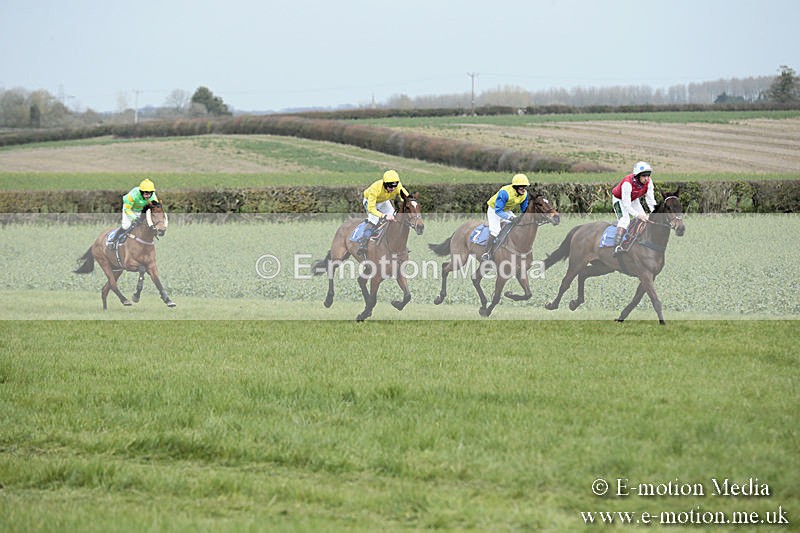 PtP 230319 33 - VWH Hunt Siddington Point-to-Point Racing 23/03/19