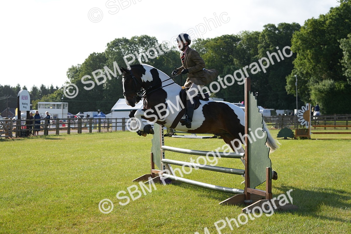 SBM_10529 - Class 97-98 - LIHS BSHA Rising Star Working Show Horse Hunter