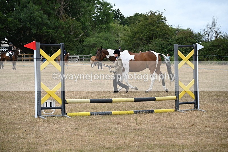 WJ6_8175 - Class 10 Coloured in Hand