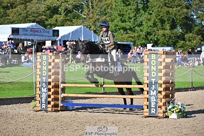 241027-121551-17201 - 444-Tatiana.Wharton-NO.TOMMY.NO