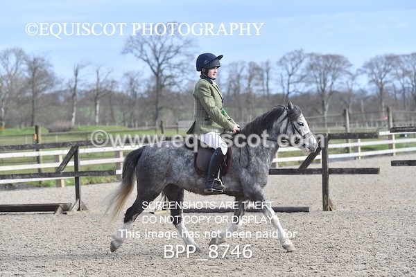 BPP_8746 - TRAINING STAKES