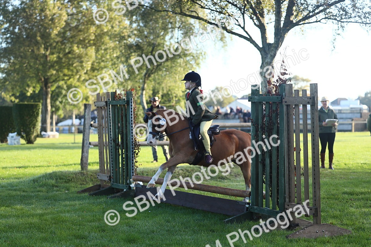 SBM_37231 - S29 - Novice & Newcomers Working Hunter Pony