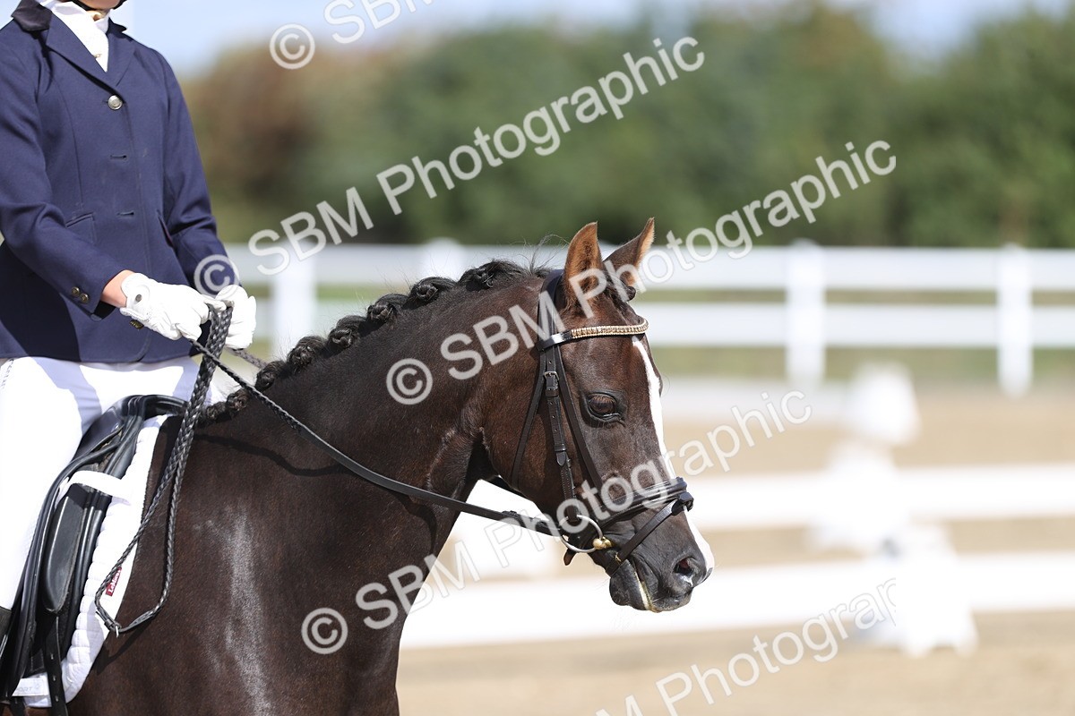 SBM_001291 - Class 2 - Intro 4 Champs - 10.56-11.44
