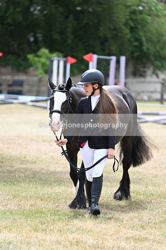 WJ7_1393 - Class 4 Prettiest Mare up to 14.2hh in hand