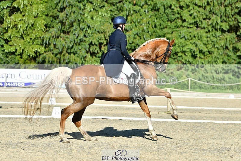 230623-181553-03200 - Cls 11 FEI PSG