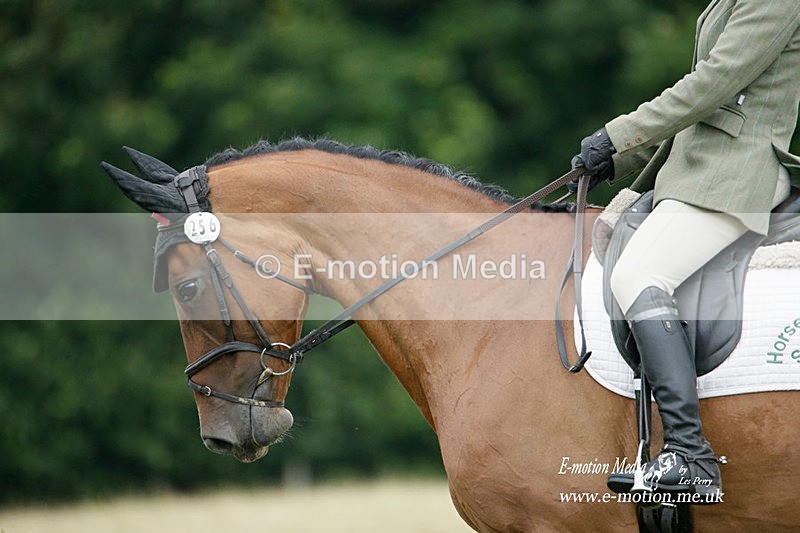BVRC 030721 688 - Bourne Valley Riding Club Dressage 03/07/21