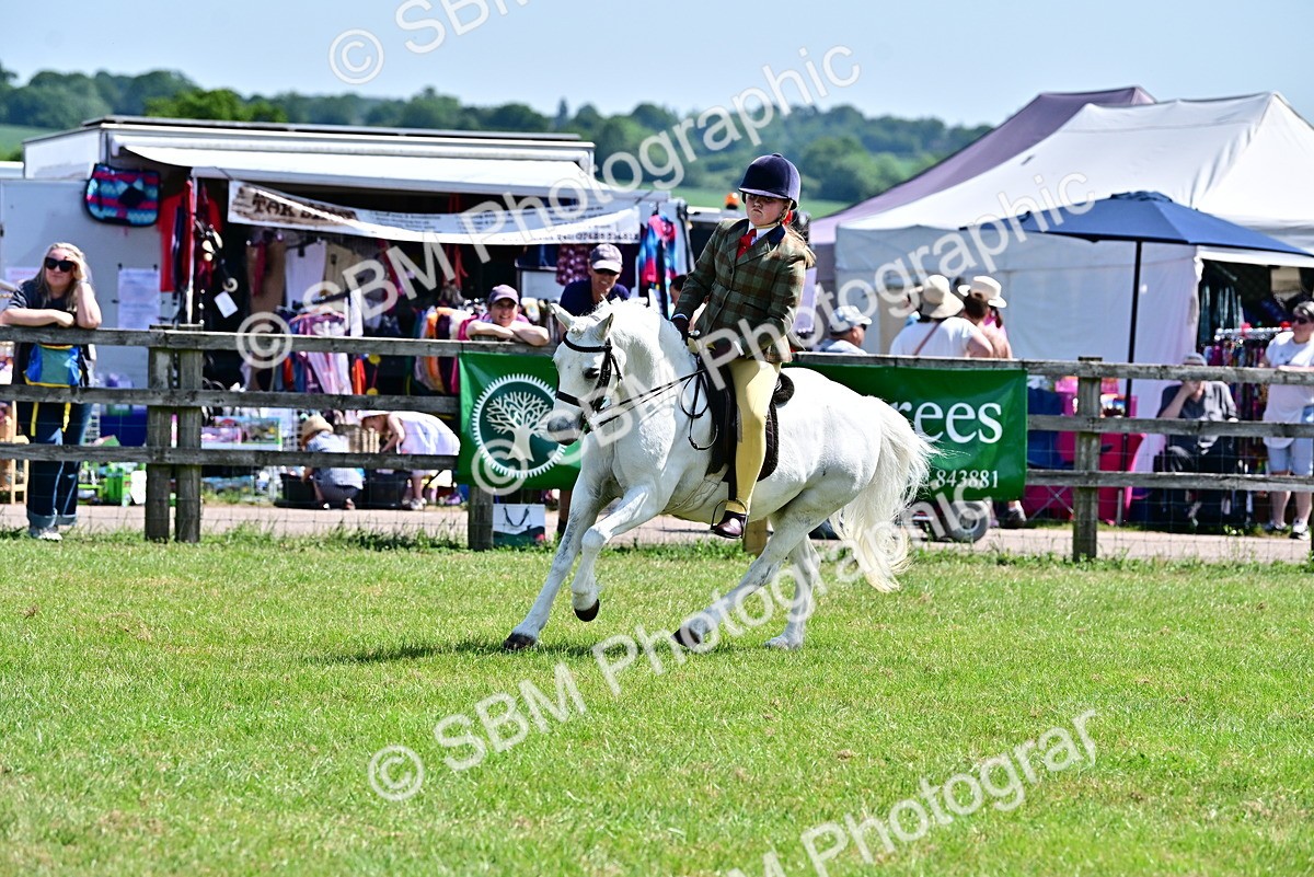 SBM_13959 - Class 95-97 - BSPS LHS Performance Ponies