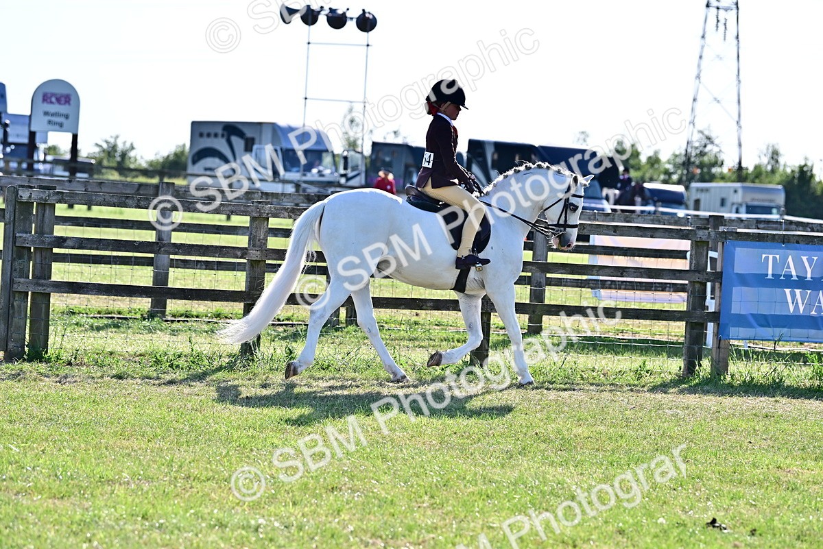 SBM_19877 - Class 103 - 105 - TSR Ridden Amateur of the Year Plaited Ponies