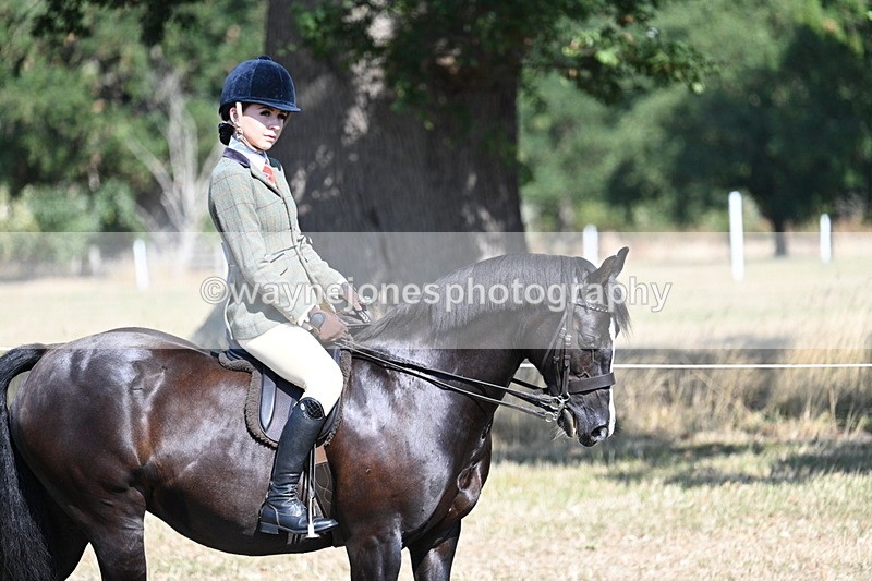 WJ7_3454 - Class 9 Mountain & Moorland Ridden