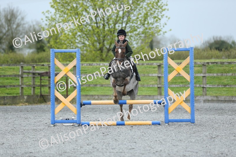 20260412-1855 - Show Jumping