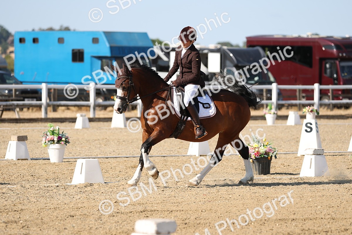 SBM_012796 - Class 1 - P5 Bronze 9.00.10.12