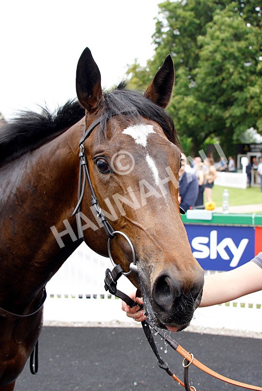 250725-Race 2-Go Victor-88031 - Race 2