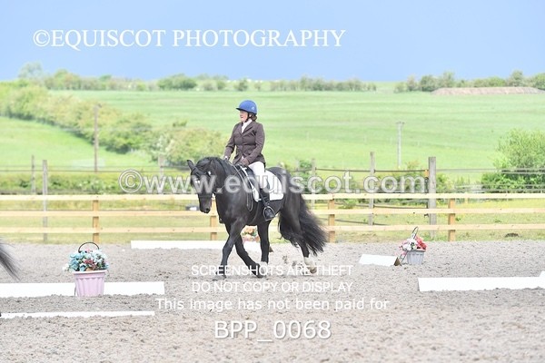BPP_0068 - SHORT ARENA  MY QUEST PRELIM
