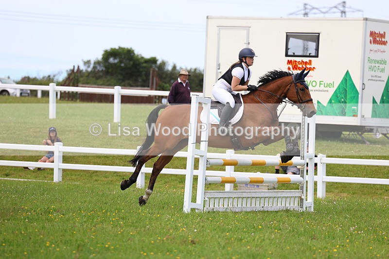 3E7A1748 - Class 13: Senior British Novice/90cm open