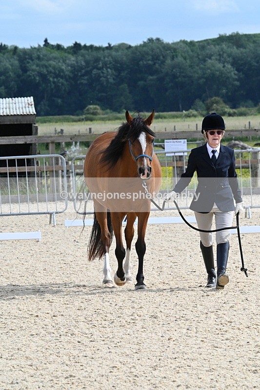 WJ7_8225 - Time 16:10 to 16:25