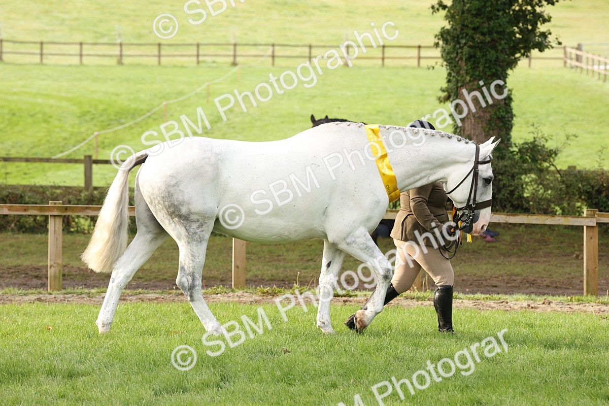 SBM_54728 - S53 - Hunter In Hand