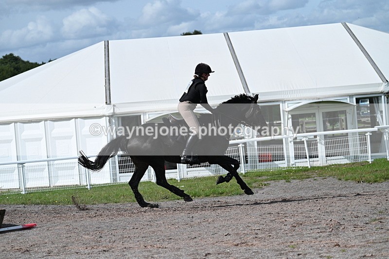 WJ7_2242 - Time 13:17 to 13:53