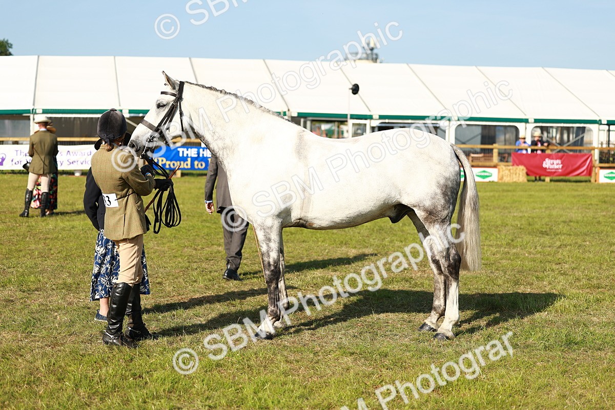 SBM_10812 - Class 66-69 - RIHS Ridden Hunters Inc Small Hunter
