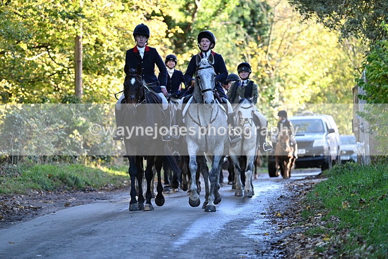 WJ7_8696 - Walk Home