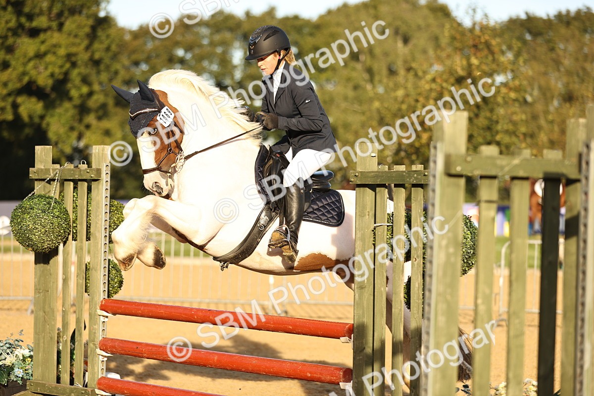 SBM_33024 - J38 - Senior 80cm Championship