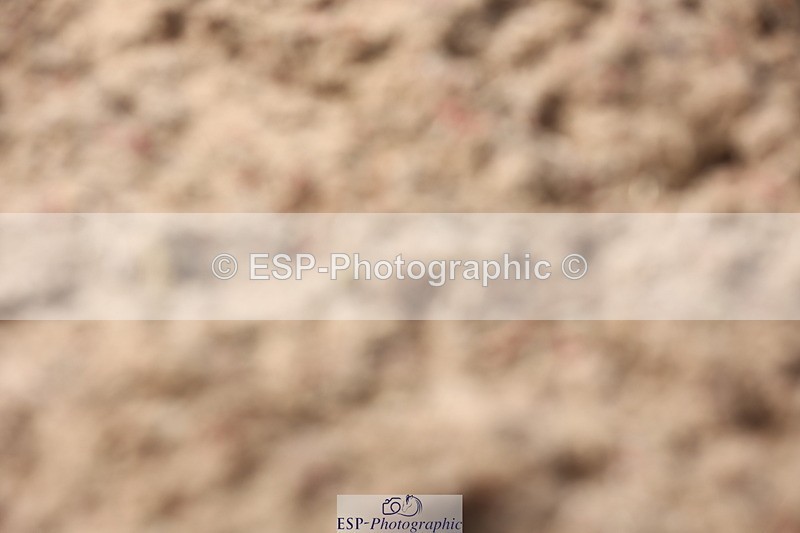 240621A-161907-05414 - Cls 3 Prelim 12