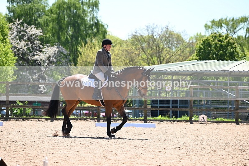 WJ6_0873 - Class 3 time 13:10 to 13:22