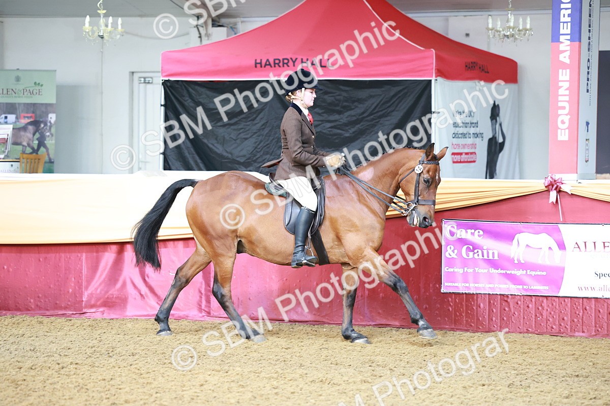 SBM_11832 - Class 102 - Equitation (Best Rider) Adult