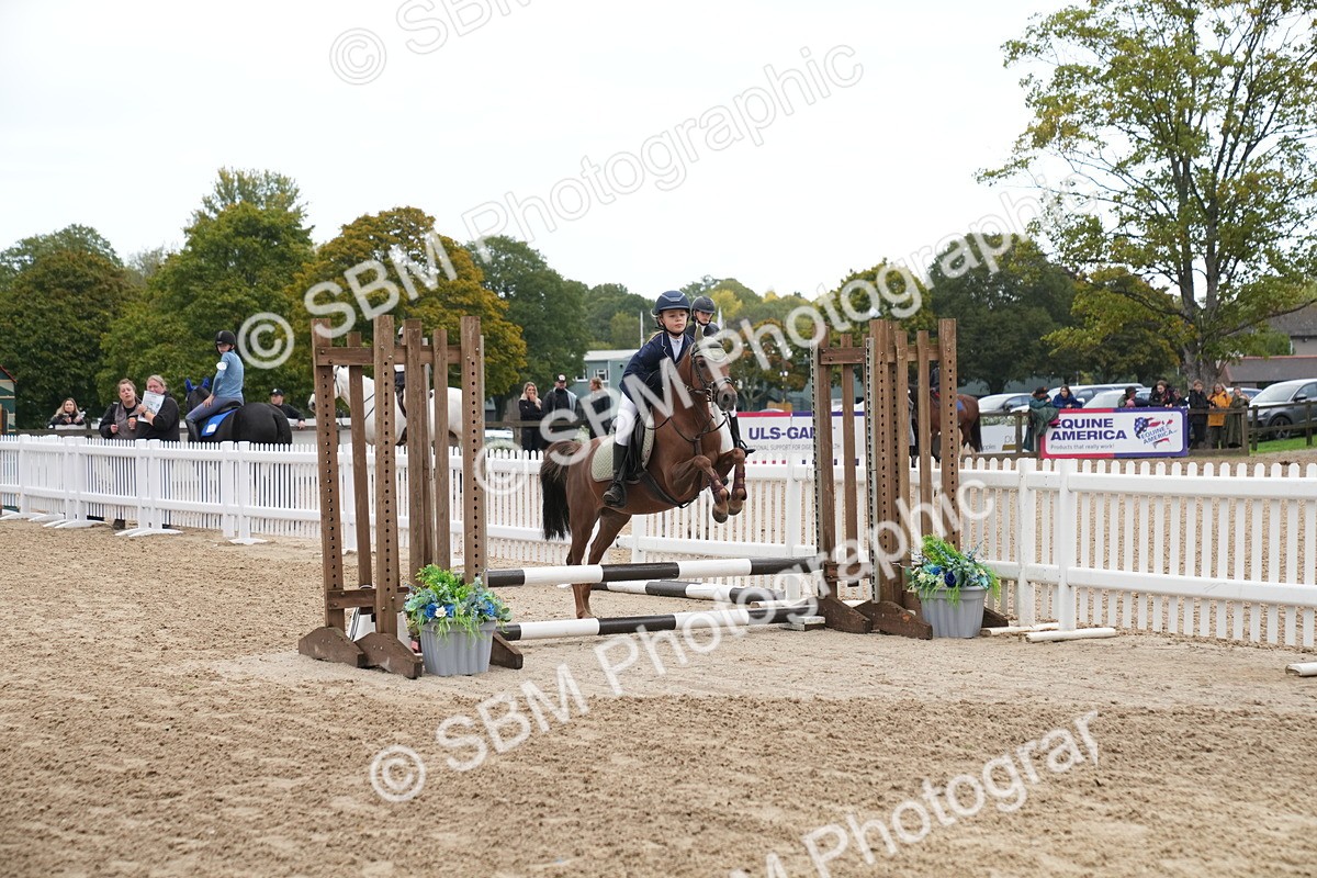 SBM_00042 - J53 - Clear Round 40cm