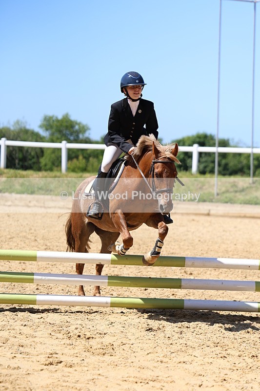 3E7A2495 - Class 4/5: 60cm Open Teams and Individuals