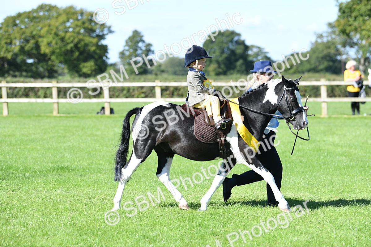 SBM_37105 - S18 - Novice & Newcomers Lead Rein Pony