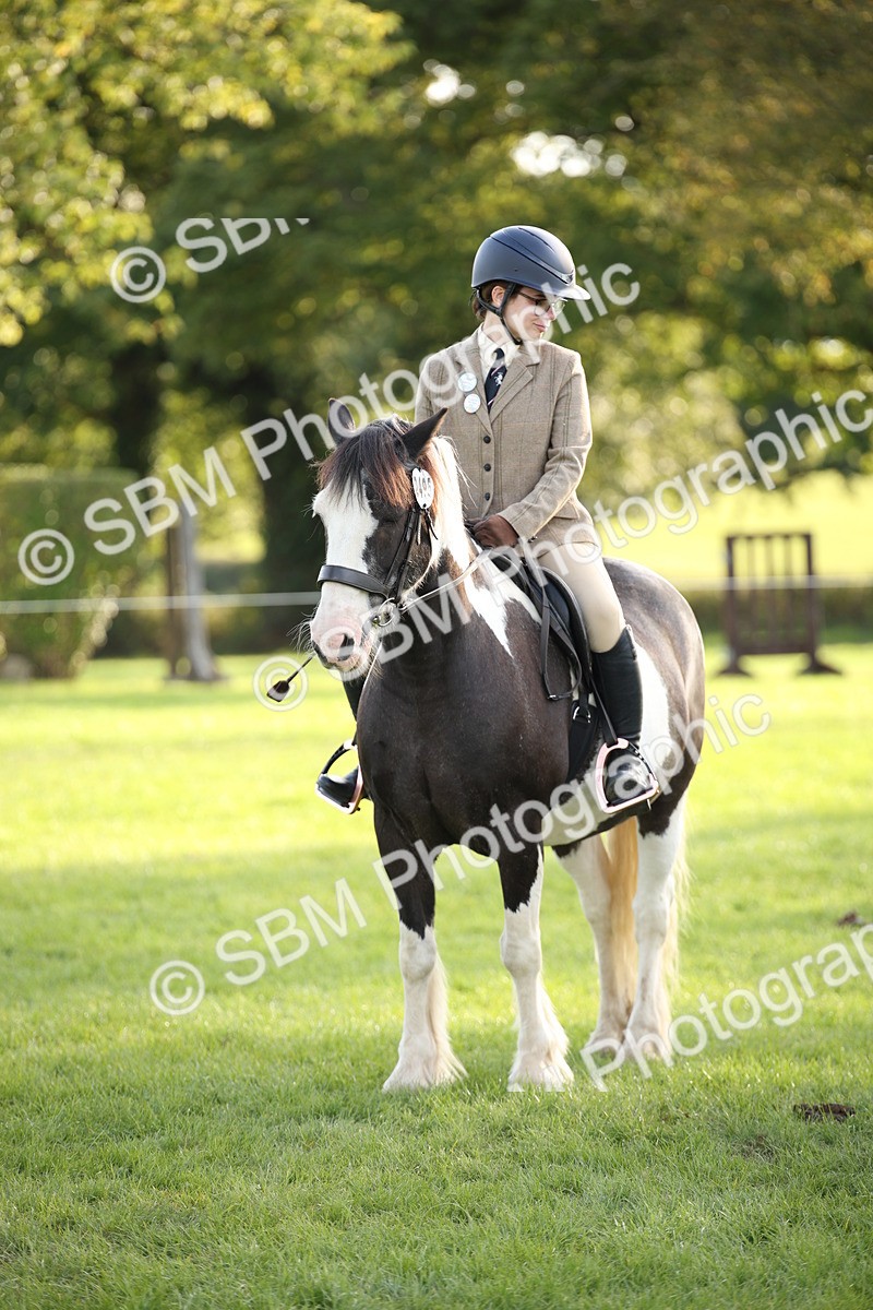 SBM_54348 - S27 - Mature Veteran - Ridden