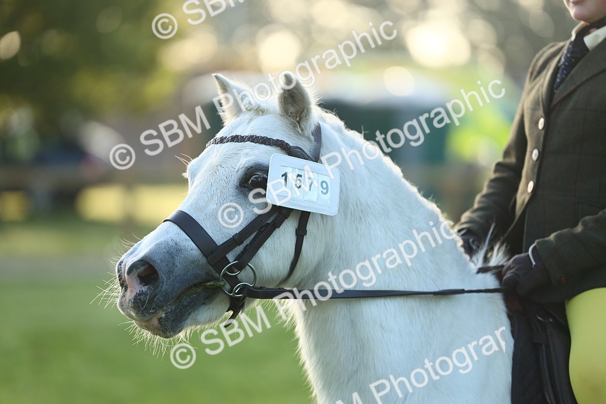 SBM_31758 - S28 - Nursery Stakes Working Hunter Pony