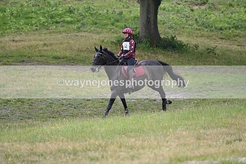 WJ7_8965 - Time 10:45 to 11:03