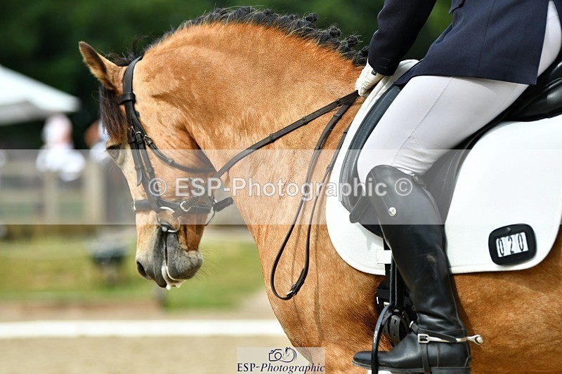 230623-095516-01919 - Cls 2 Prelim 19Q Start to 10.04 break