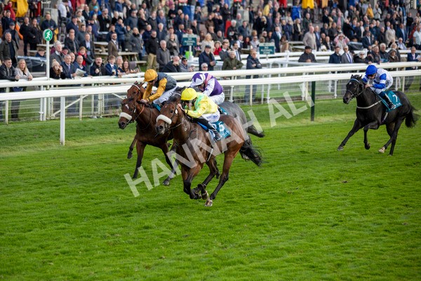 111024-Race 4-End Of Story-6917 - Race 4 3.10pm Parsonage Hotel And Cloisters Spa Nursery Handicap