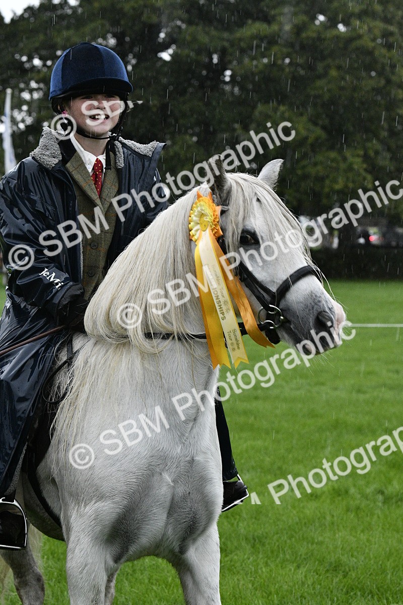 SBM_35614 - S30 - Nursery Stakes Working Hunter Pony