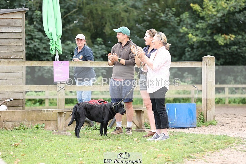 240810-170503-04534 - Elementary Silver