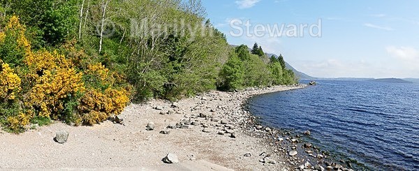 Loch Ness-2 - Scotland