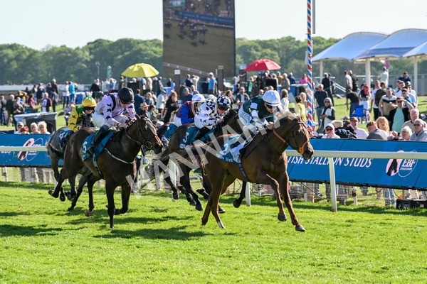 140525-Race 6-Ballistic Missile-2860 - Race 6 4.55pm British Stallion Studs EBF Novice Stakes