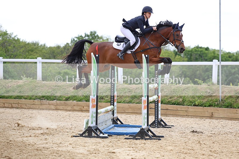 3E7A7619 - Class 8: Senior Foxhunter/1.20 open