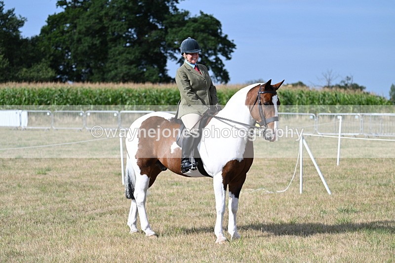 WJ7_2610 - Class 8 Ridden Tack & Turnout