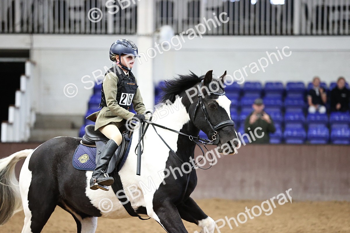 SBM_001351 - Class 4 -  Prestige Design & Workwear  60cm Area 12 Championship Qualifier