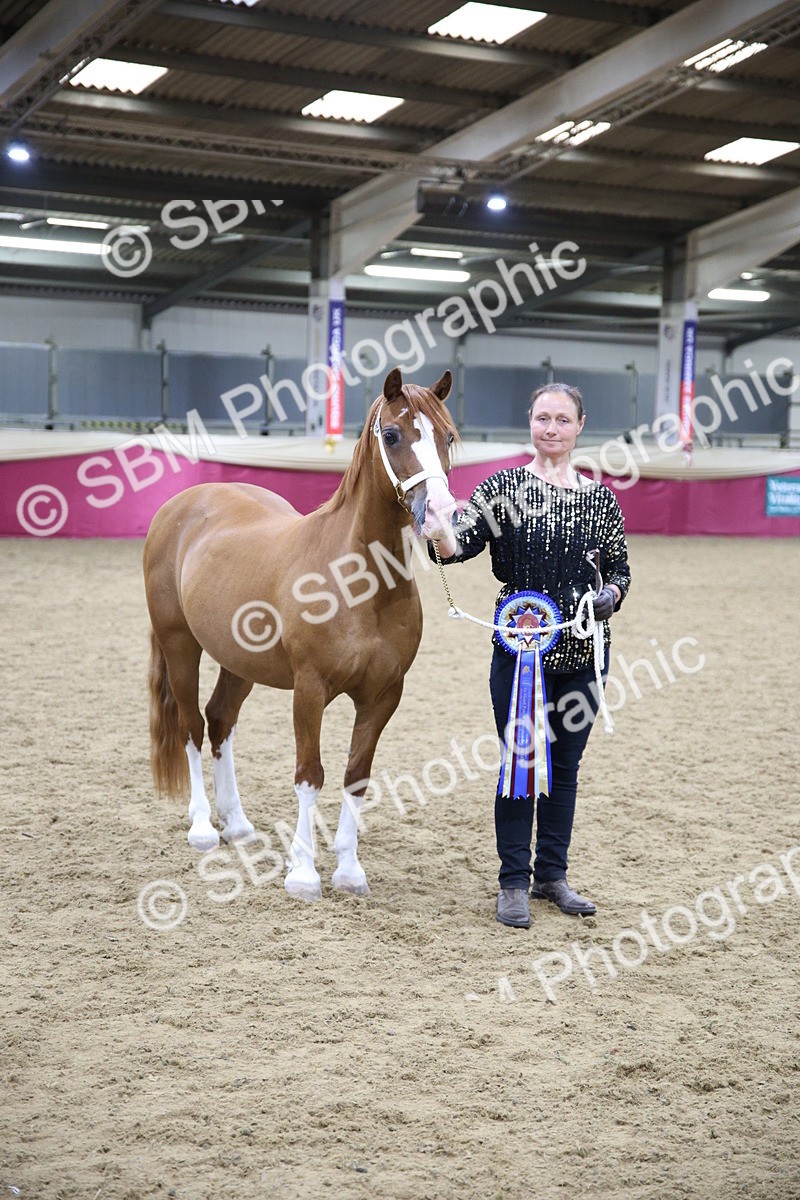 SBM_18774 - Class D IH Pony Champ