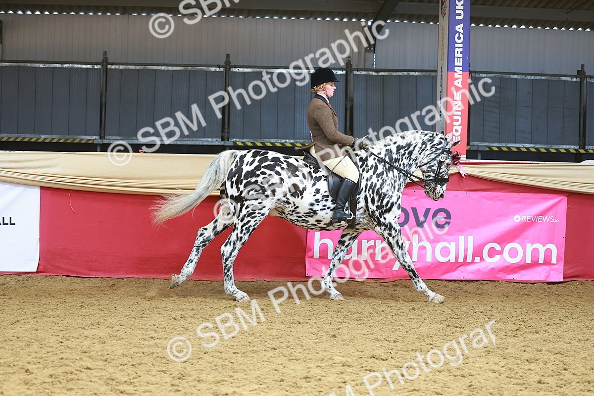 SBM_12451 - Class 103 - HOYS Veteran Qualifier - Ridden Pre Vet