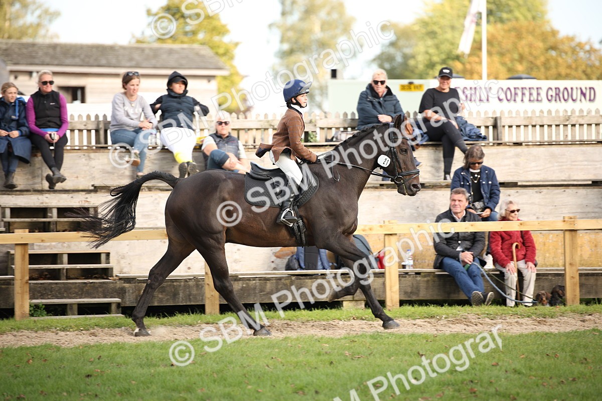 SBM_54252 - S27 - Mature Veteran - Ridden