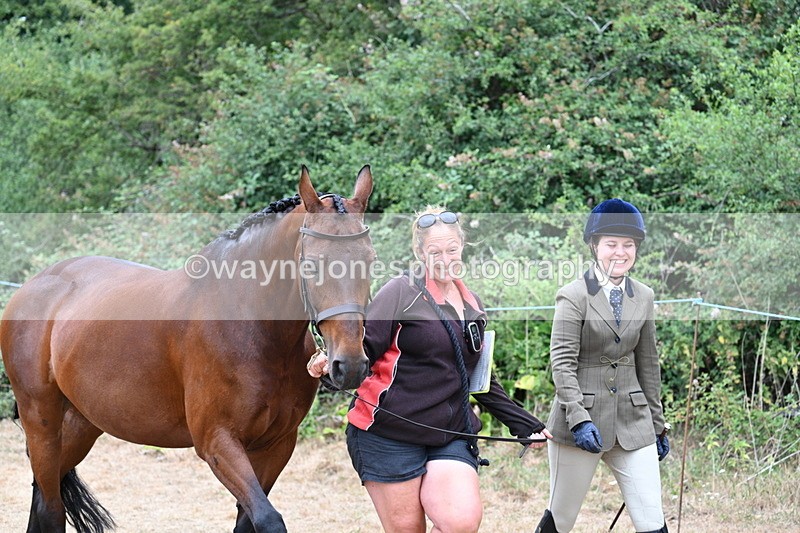 WJ7_8637 - Class 4a Prettiest Mare 14.2hh and over